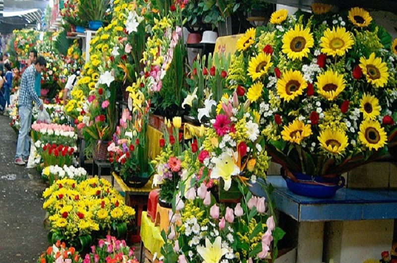 Mercado Jamaica - Habibi World Travel & Tour